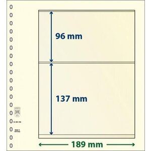 Insert sheets - 2 compartment(s): 189 x 96/137 mm - T-Blanco (802209) - Champagne - 18 Rings