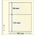 Lindner, T-Blank sheets (18 rings) 2 compartment (189x96, 189x137) Champagne - dim: 272x296 mm. ■ per  pc.