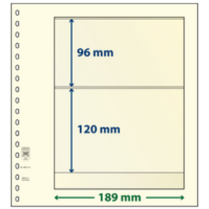 Insert sheets - 2 compartment(s): 189 x 96/120 mm - T-Blanco (802211) - Champagne - 18 Rings