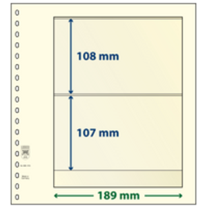 Insert sheets - 2 compartment(s): 189 x 108/107 mm - T-Blanco (802215) - Champagne - 18 Rings