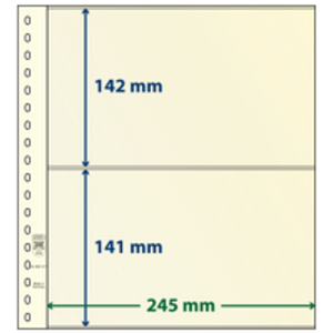 Insteekblad - 2 vaks indeling: 245 x 142/141 mm - T-Blanco (802217) -  - Champagne - 18 Rings