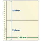 Insteekbladen - 2 vaks indeling: 245 x 150/150 mm - T-Blanco (802218) - Champagne - 18 Rings ■ per 10 stuks
