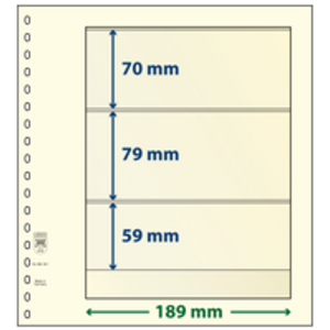 Insert sheets - 3 compartment(s): 189 x 70/79/59 mm - T-Blanco (802301) - Champagne - 18 Rings