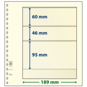 Insert sheets - 3 compartment(s): 189 x 60/46/95 mm - T-Blanco (802302) - Champagne - 18 Rings
