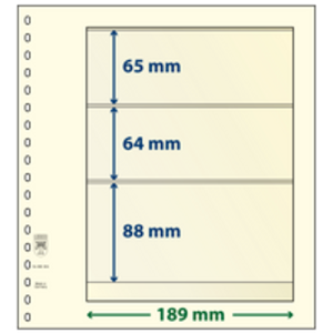 Insert sheets - 3 compartment(s): 189 x 65/64/88 mm - T-Blanco (802304) - Champagne - 18 Rings