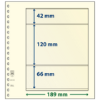 Insert sheets - 3 compartment(s): 189 x 42/120/66 mm - T-Blanco (802308) - Champagne - 18 Rings ■ per 10 pcs.