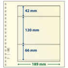 Lindner, T-Blank sheets (18 rings) 3 compartment (189x42, 189x120, 189x66) Champagne - dim: 272x296 mm. ■ per  pc.