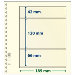 Insert sheets - 3 compartment(s): 189 x 42/120/66 mm - T-Blanco (802308) - Champagne - 18 Rings