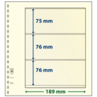 Einsteckblätter - 3 er Einteilung: 189 x 75/76/76 mm - T-Blanco (802310) - Champagne - 18 Ringe ■ pro Stück