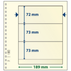 Lindner, T-Blank sheets (18 rings) 3 compartment (189x72) Champagne - dim: 272x296 mm. ■ per  pc.