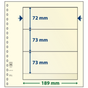 Insert sheets - 3 compartment(s): 189 x 72/73/73 mm - T-Blanco (802320) - Champagne - 18 Rings