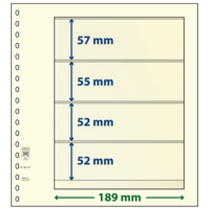 Insert sheets - 4 compartment(s): 189 x 57/55/52/52 mm - T-Blanco (802400) - Champagne - 18 Rings