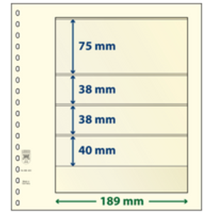 Insert sheets - 4 compartment(s): 189 x 75/38//38/40 mm - T-Blanco (802403) - Champagne - 18 Rings