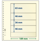 Insert sheets - 4 compartment(s): 189 x 65/46/36/46 mm - T-Blanco (802406) - Champagne - 18 Rings ■ per pc.