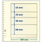 Insert sheets - 4 compartment(s): 189 x 55/35/46/68 mm - T-Blanco (802409) - Champagne - 18 Rings ■ per pc.