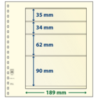 Insert sheets - 4 compartment(s): 189 x 35/34/62/90 mm - T-Blanco (802414) - Champagne - 18 Rings ■ per 10 pcs.