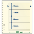 Insert sheets - 4 compartment(s): 189 x 55/56/55/56 mm - T-Blanco (802420) - Champagne - 18 Rings ■ per pc.
