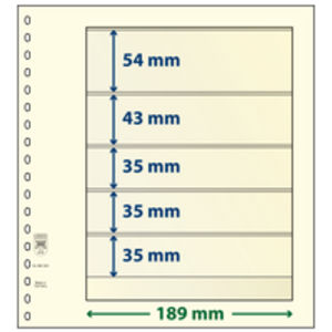 Insert sheets - 5 compartment(s): 189 x 54/43/35/35/35 mm - T-Blanco (802503) - Champagne - 18 Rings