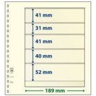 Einsteckblätter - 5 er Einteilung: 189 x 41/31/41/40/52 mm - T-Blanco (802504) - Champagne - 18 Ringe ■ pro 10 Stück