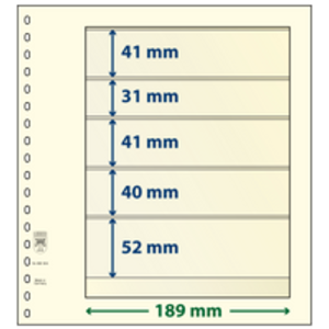 Einsteckblätter - 5 er Einteilung: 189 x 41/31/41/40/52 mm - T-Blanco (802504) - Champagne - 18 Ringe