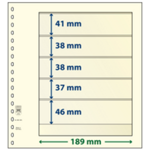 Insteekbladen - 5 vaks indeling: 189 x 41/38/38/37/46 mm - T-Blanco (802505) -  - Champagne - 18 Rings