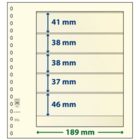 Einsteckblätter - 5 er Einteilung: 189 x 41/38/38/37/46 mm - T-Blanco (802505) - Champagne - 18 Ringe ■ pro Stück