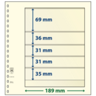 Feuilles de pochettes - 5 compartiment(s): 189 x 69/36/31/31/35 mm - T-Blanco (802506) - Champagne - 18 Anneaux ■ par pc.