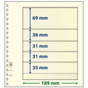 Einsteckblätter - 5 er Einteilung: 189 x 69/36/31/31/35 mm - T-Blanco (802506) - Champagne - 18 Ringe