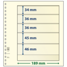 Insert sheets - 5 compartment(s): 189 x 34/36/36/45/46 mm - T-Blanco (802508) - Champagne - 18 Rings ■ per 10 pcs.