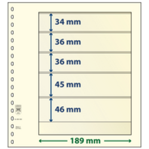 Insert sheets - 5 compartment(s): 189 x 34/36/36/45/46 mm - T-Blanco (802508) - Champagne - 18 Rings