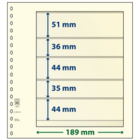 Feuilles de pochettes - 5 compartiment(s): 189 x 51/36/44/35/44 mm - T-Blanco (802509) - Champagne - 18 Anneaux ■ par 10 pcs.