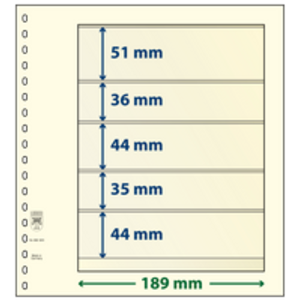 Insert sheets - 5 compartment(s): 189 x 51/36/44/35/44 mm - T-Blanco (802509) - Champagne - 18 Rings