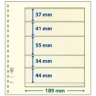 Insert sheets - 5 compartment(s): 189 x 37/41/55/34/44 mm - T-Blanco (802510) - Champagne - 18 Rings ■ per 10 pcs.
