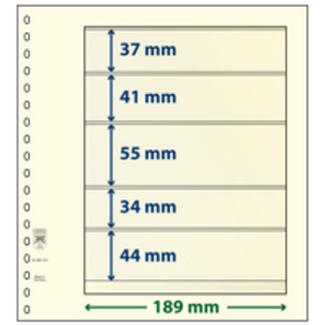 Einsteckblätter - 5 er Einteilung: 189 x 37/41/55/34/44 mm - T-Blanco (802510) - Champagne - 18 Ringe