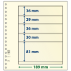 Insert sheets - 5 compartment(s): 189 x 36/29/36/30/81 mm - T-Blanco (802513) - Champagne - 18 Rings ■ per 10 pcs.