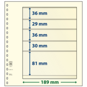 Insteekblad - 5 vaks indeling: 189 x 36/29/36/30/81 mm - T-Blanco (802513) -  - Champagne - 18 Rings