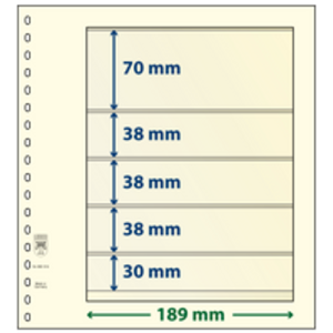 Einsteckblätter - 5 er Einteilung: 189 x 70/38/38/38/30 mm - T-Blanco (802514) - Champagne - 18 Ringe
