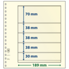Insteekblad - 5 vaks indeling: 189 x 70/38/38/38/30 mm - T-Blanco (802514) - Champagne - 18 Rings ■ per stuk