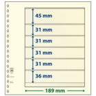 Insteekbladen - 6 vaks indeling: 189 x 45/31/31/31/31/36 mm - T-Blanco (802604) - Champagne - 18 Rings ■ per 10 stuks