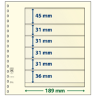 Lindner, T-Blanko Blätter (18 Ringe) 6er einteillung (189x45, 189x31, 189x36) Champagne - Abm: 272x296 mm. ■ pro 10 Stk.