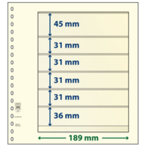 Einsteckblätter - 6 er Einteilung: 189 x 45/31/31/31/31/36 mm - T-Blanco (802604) - Champagne - 18 Ringe