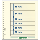 Insteekbladen - 6 vaks indeling: 189 x 48/44/28/28/28/28 mm - T-Blanco (802605) - Champagne - 18 Rings ■ per 10 stuks