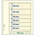 Lindner, T-Blank sheets (18 rings) 6 compartment (189x48, 189x44, 189x28) Champagne - dim: 272x296 mm. ■ per  pc.