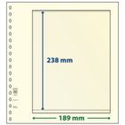 Insert sheets - 1 compartment(s): 189 x 238 mm - dT-Blanco (dT802107) - Champagne - 18 Rings ■ per 5 pcs.