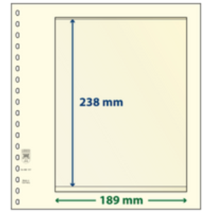 Insert sheets - 1 compartment(s): 189 x 238 mm - dT-Blanco (dT802107) - Champagne - 18 Rings
