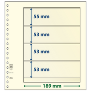 Insert sheets - 4 compartment(s): 189 x 55/53 mm - dT-Blanco (dT802408) - Champagne - 18 Rings