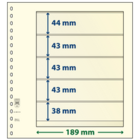 Feuilles de pochettes - 5 compartiment(s): 189 x 44/43/38 mm - dT-Blanco (dT802512) - Champagne - 18 Anneaux ■ par 5 pcs.