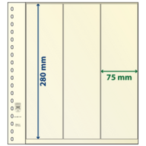 Insteekbladen - 3 vaks indeling: 75 x 280 mm - T-Blanco (802121) -  - Champagne - 18 Rings