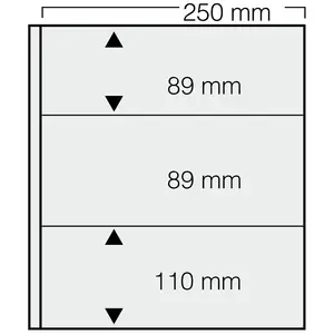 Einsteckblätter - 3 er Einteilung: 250 x 89(2x), 250x110  mm - Dual (513) - Champagne - 14 Ringe