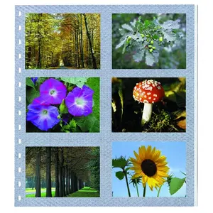 Feuilles GARANT (14 anneaux ) Argent gris - 2 x 3 compartiment (125 x 95) Argent gris - dim: 270 x 297 mm.